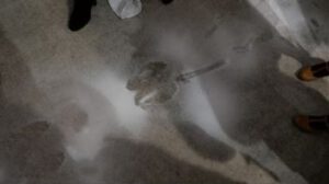 Mehr über den Artikel erfahren body passages – salt passages