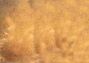 Mehr über den Artikel erfahren skin contact