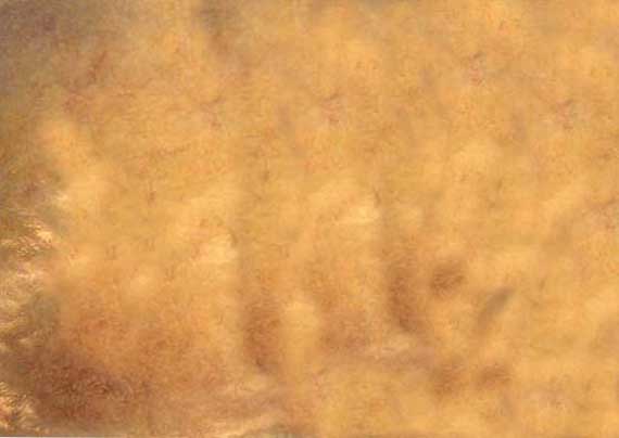 Mehr über den Artikel erfahren skin contact