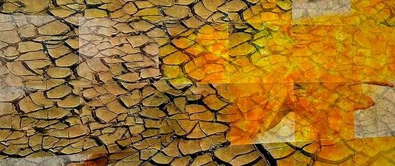 Transformation 2025-netz-1