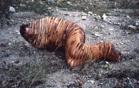 Mehr über den Artikel erfahren human vessel